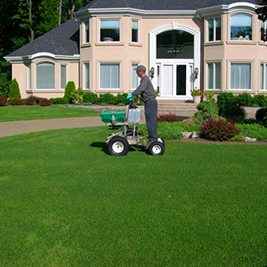 Healthy, well-maintained lawn being mowed by a professional lawn care specialist